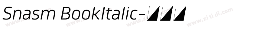 Snasm BookItalic字体转换